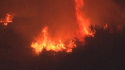 【山火事】少なくとも８４棟の建物が焼ける　岩手・大船渡市の山林火災